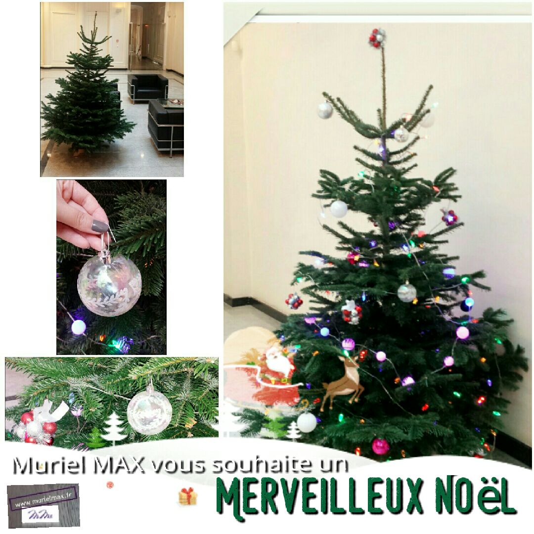 Muriel MAX pour Noël 2016